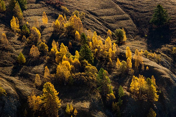 Photographe de nature à Grenoble