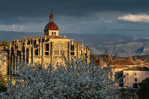 Photographe Saint Antoine l'Abbaye