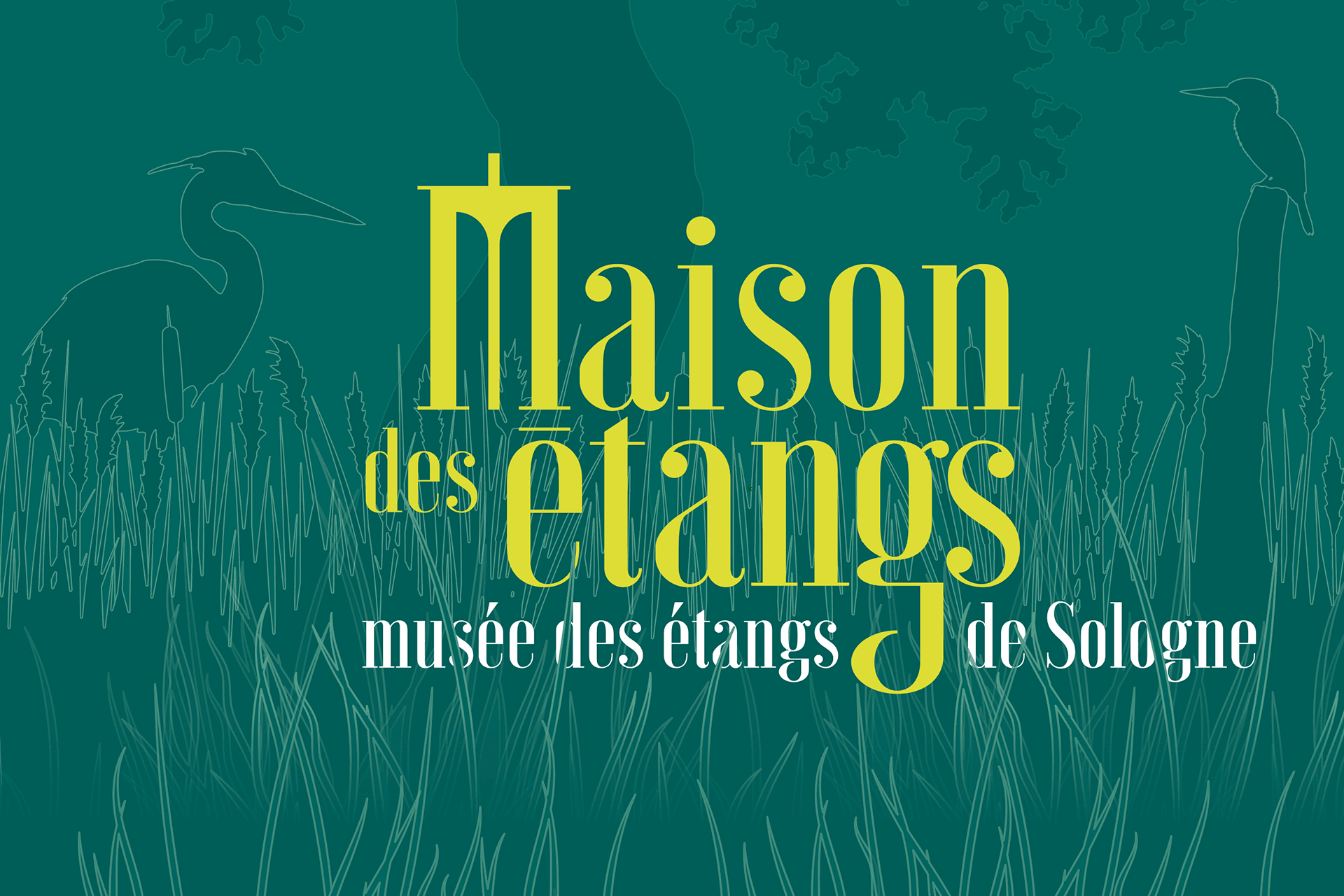 Création du logo et de l'identité visuelle globale de la Maison des étangs