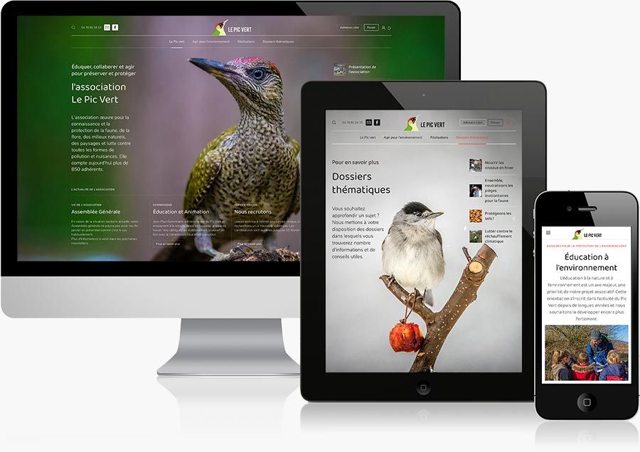 Création du site internet du Le Pic Vert à Coublevie